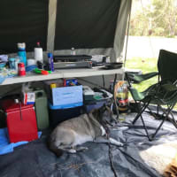 Photo by Jodie Roadster Campny