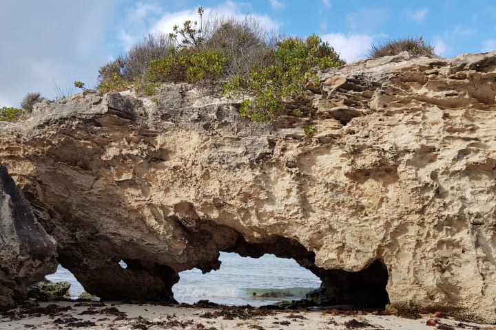 Photo by Olivia Bataligin Averkin