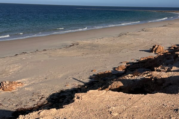 Photo by Christine H.