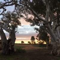 Photo by Francesca S.