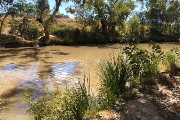 Photo by Elizabeth P.