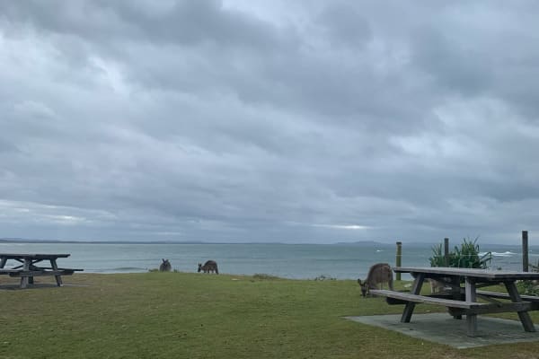 Photo by Mercedes W.