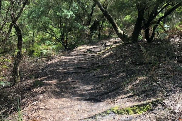 Photo by [deleted user]