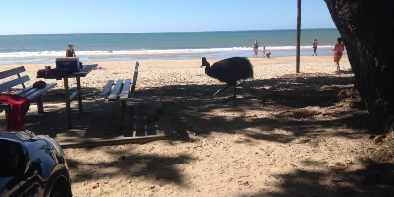 Photo by Christine B.