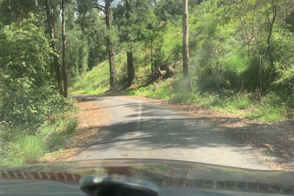 Photo by Henry Thiệp Lê