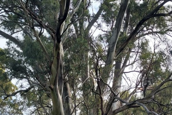 Photo by Nickolas S.