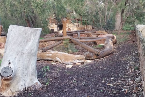 Photo by Nickolas S.