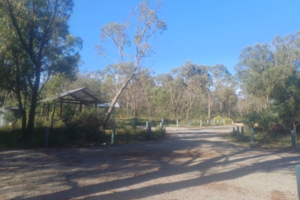 Photo by ★Mimosa☆Turlinjah★