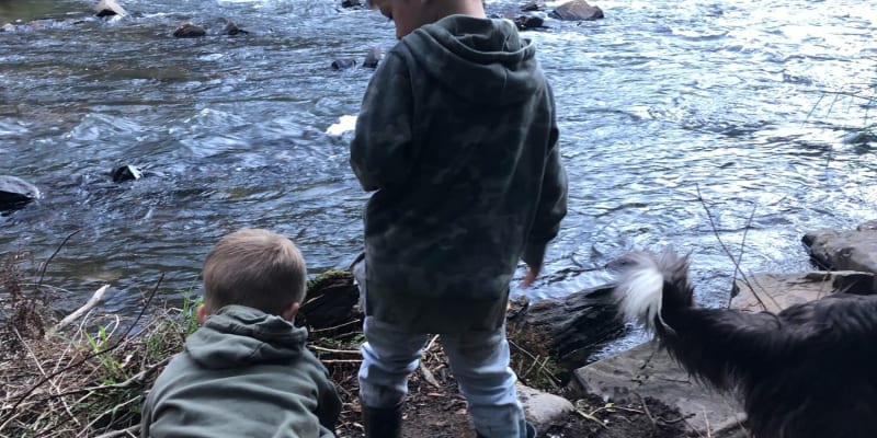 Photo of Coopers Creek