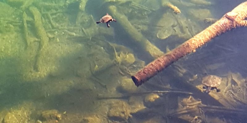 Photo by My Rig Adventures