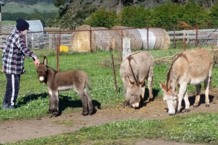 Photo by Jenni-Dawn B.