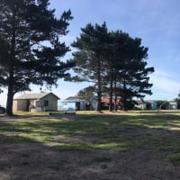 Photo by Vedavash P.