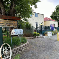 Photo by Elizabeth S.