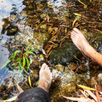 Photo by Christine M.