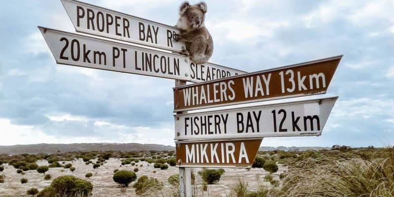 Photo by Helen de la Perrelle