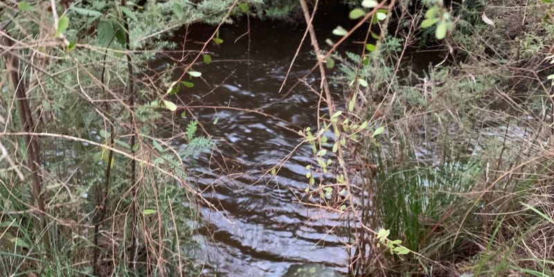 Photo by Brooklyn E.