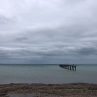 Photo by Jizelle 🌻.