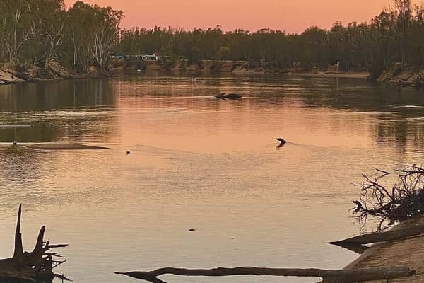 Photo by Michelle F.