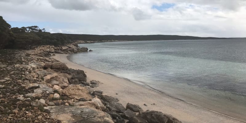 Photo by Michelle C.