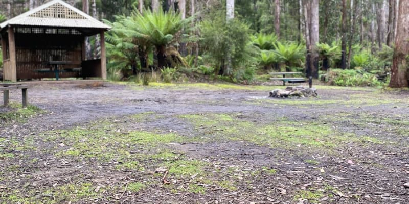 Photo by Caroline Retallick Flavel