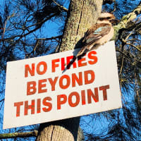 Photo by Margaret McNeill Ljubicic