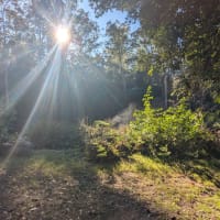 Photo by GetMeOffGrid