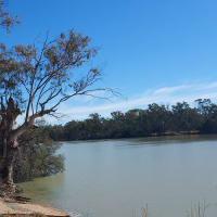 Photo by Nickolas S.