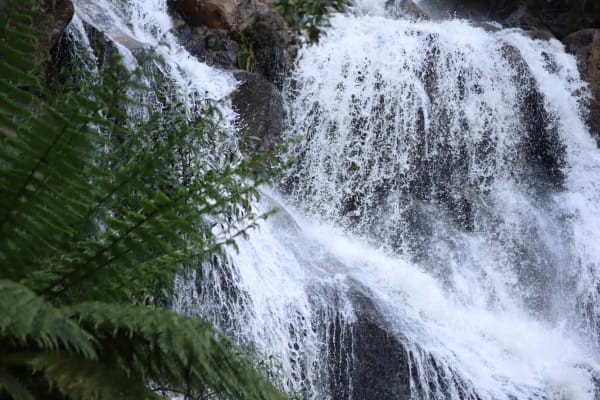 Photo by Isabella H.