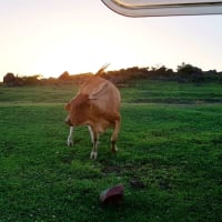 Photo by My Rig Adventures