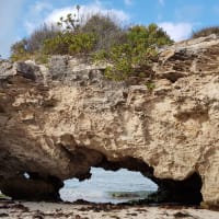 Photo by Olivia Bataligin Averkin