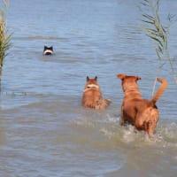 Photo by @ode2theroad