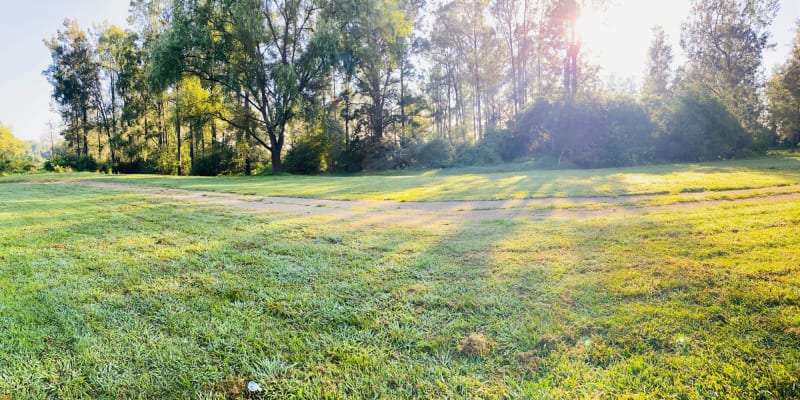 Photo by Louise Le Roux