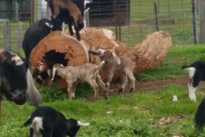 Photo by Jenni-Dawn B.