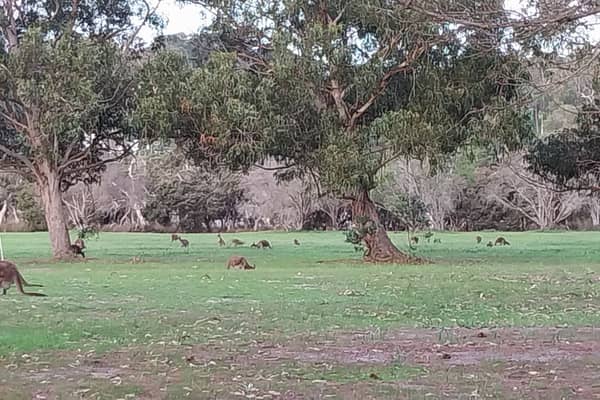 Photo by Colin van den Hoff