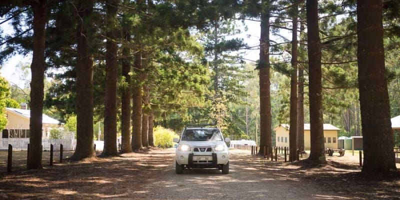 Photo of Coopernook Forest Park