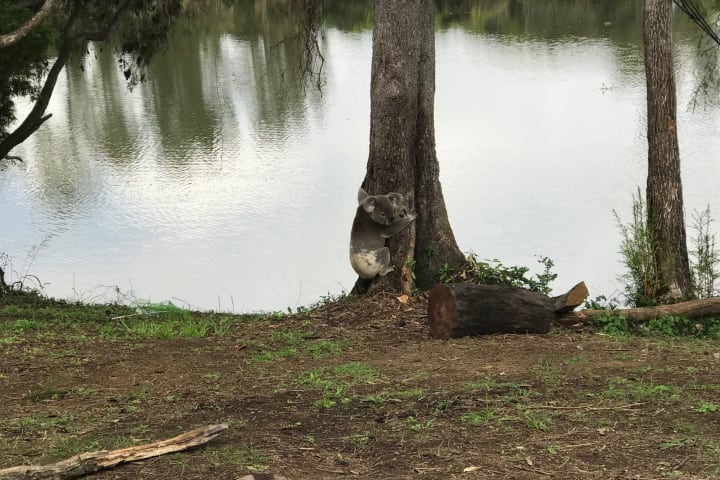 Photo by Michelle G.