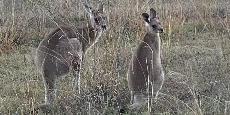 Photo by Cristina B.