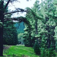 Photo by Brucethegoose