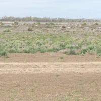 Photo by Christine W.