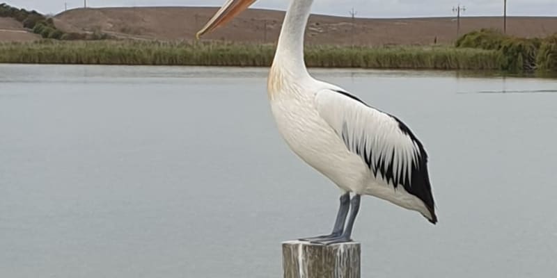 Photo by Ryse Marie Callaghan