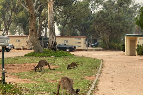 Photo by Corporate to Caravan