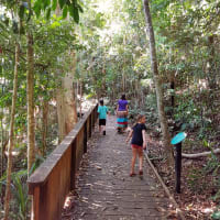 Photo by My Rig Adventures