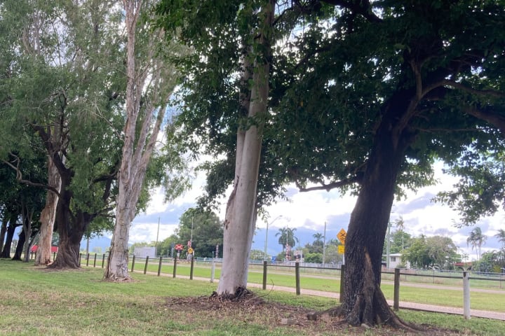 Photo by Lee-Anne F.