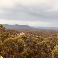 Photo by Jennifer R.