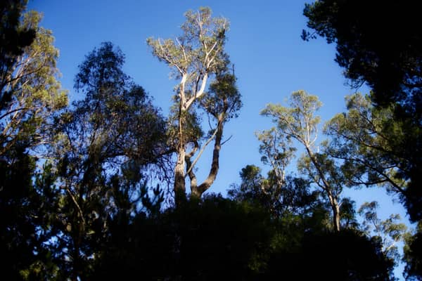 Photo by Jaspreet S.