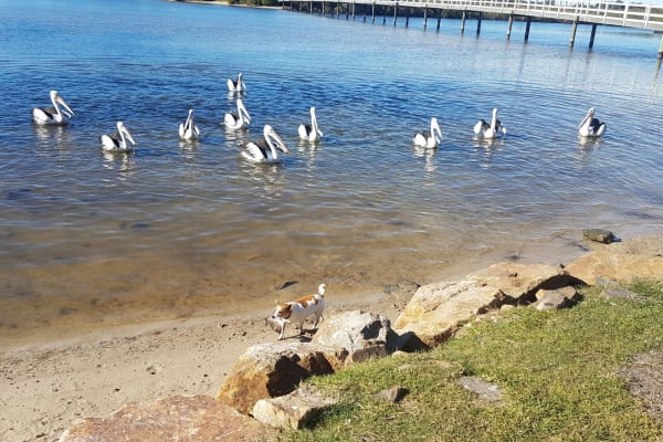 Photo by Adventure A.