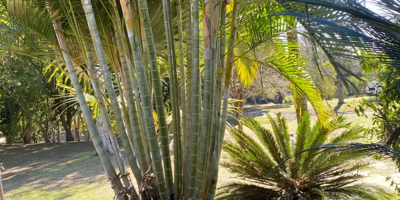 Photo by Cristina B.