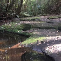 Photo by Margaret McNeill Ljubicic