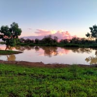 Photo by Charmaine M.