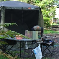 Photo by Brucethegoose